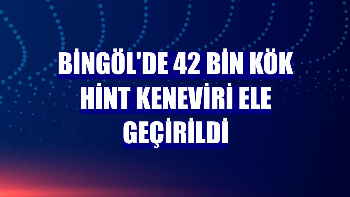 Bingöl'de 42 bin kök Hint keneviri ele geçirildi