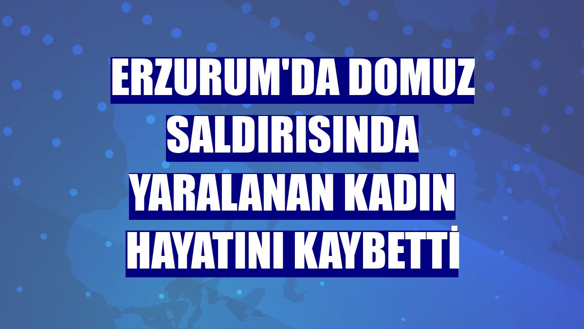 Erzurum'da domuz saldırısında yaralanan kadın hayatını kaybetti