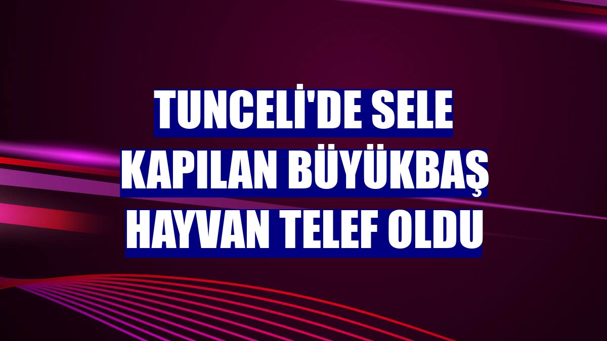 Tunceli'de sele kapılan büyükbaş hayvan telef oldu