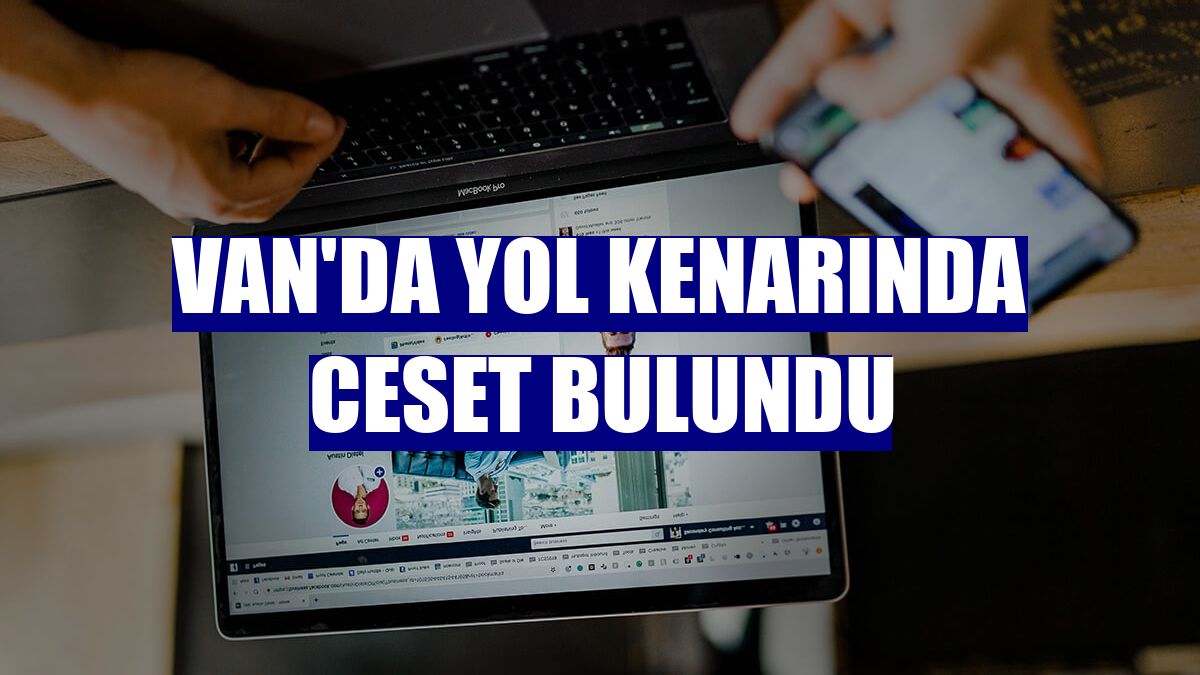 Van'da yol kenarında ceset bulundu