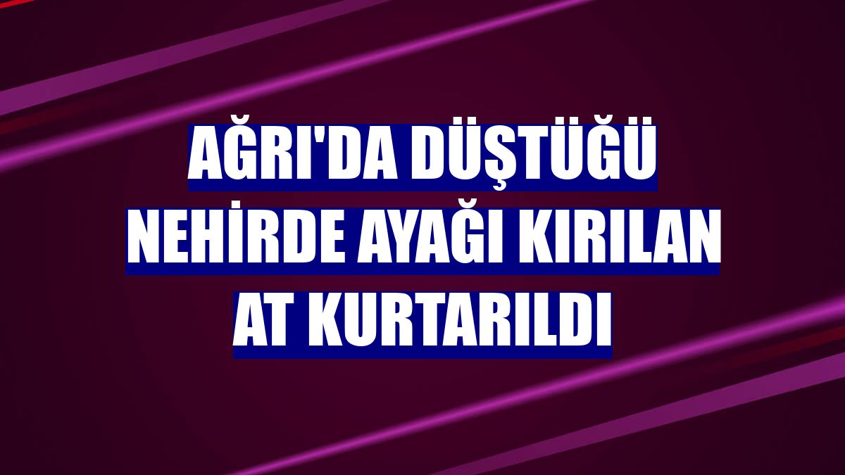 Ağrı'da düştüğü nehirde ayağı kırılan at kurtarıldı