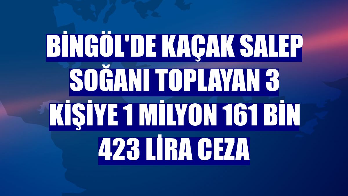 Bingöl'de kaçak salep soğanı toplayan 3 kişiye 1 milyon 161 bin 423 lira ceza