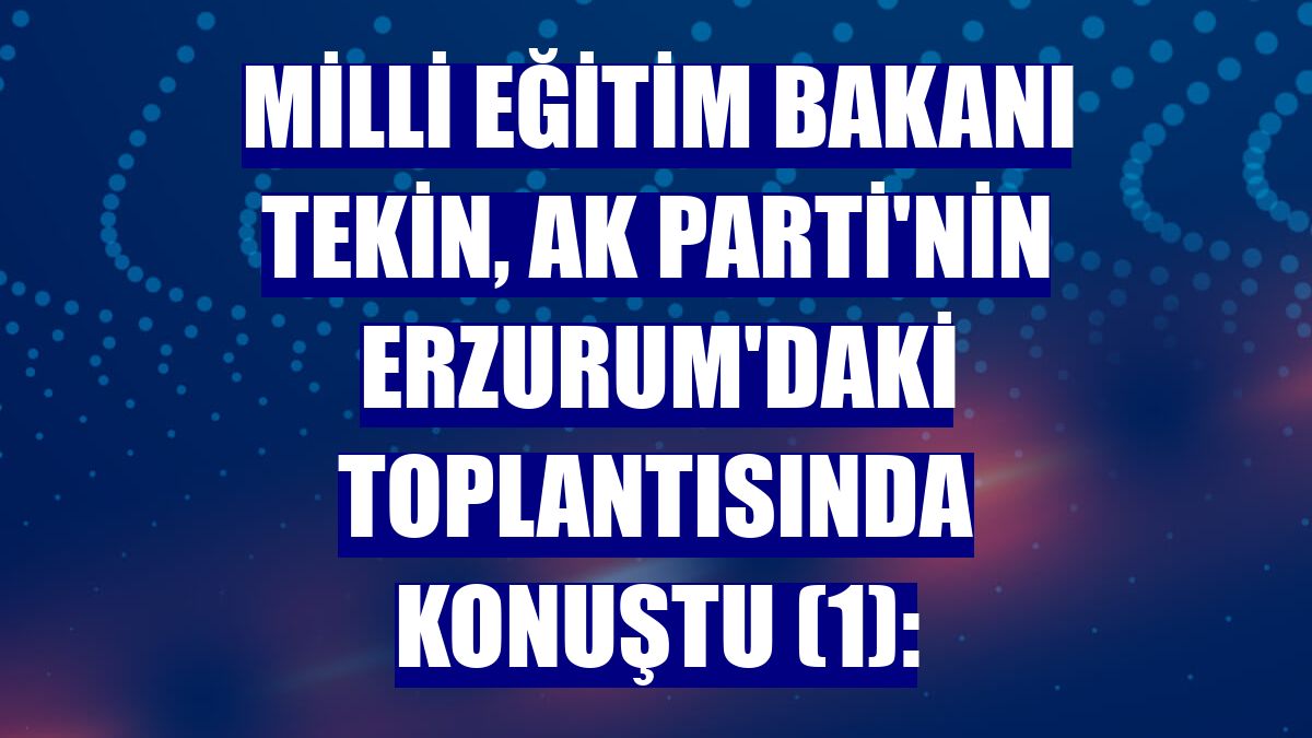 Milli Eğitim Bakanı Tekin, AK Parti'nin Erzurum'daki toplantısında konuştu (1):