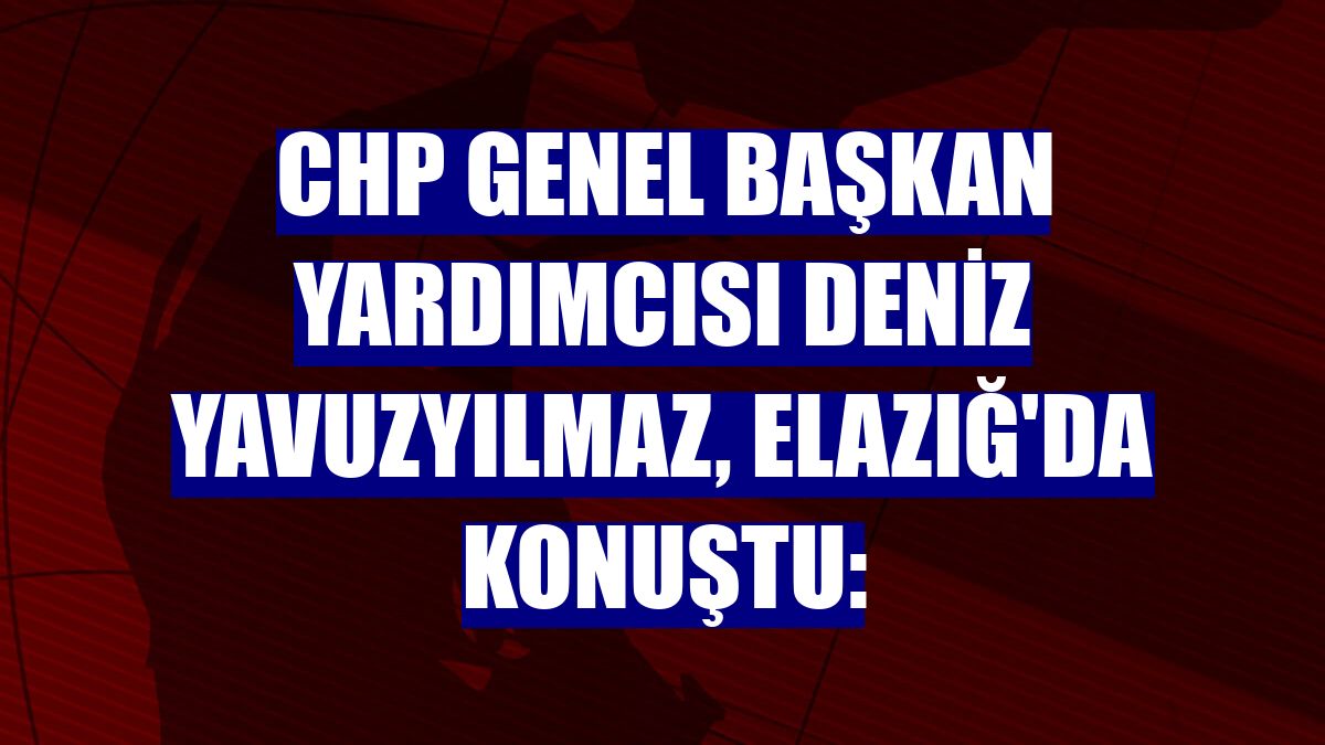 CHP Genel Başkan Yardımcısı Deniz Yavuzyılmaz, Elazığ'da konuştu: