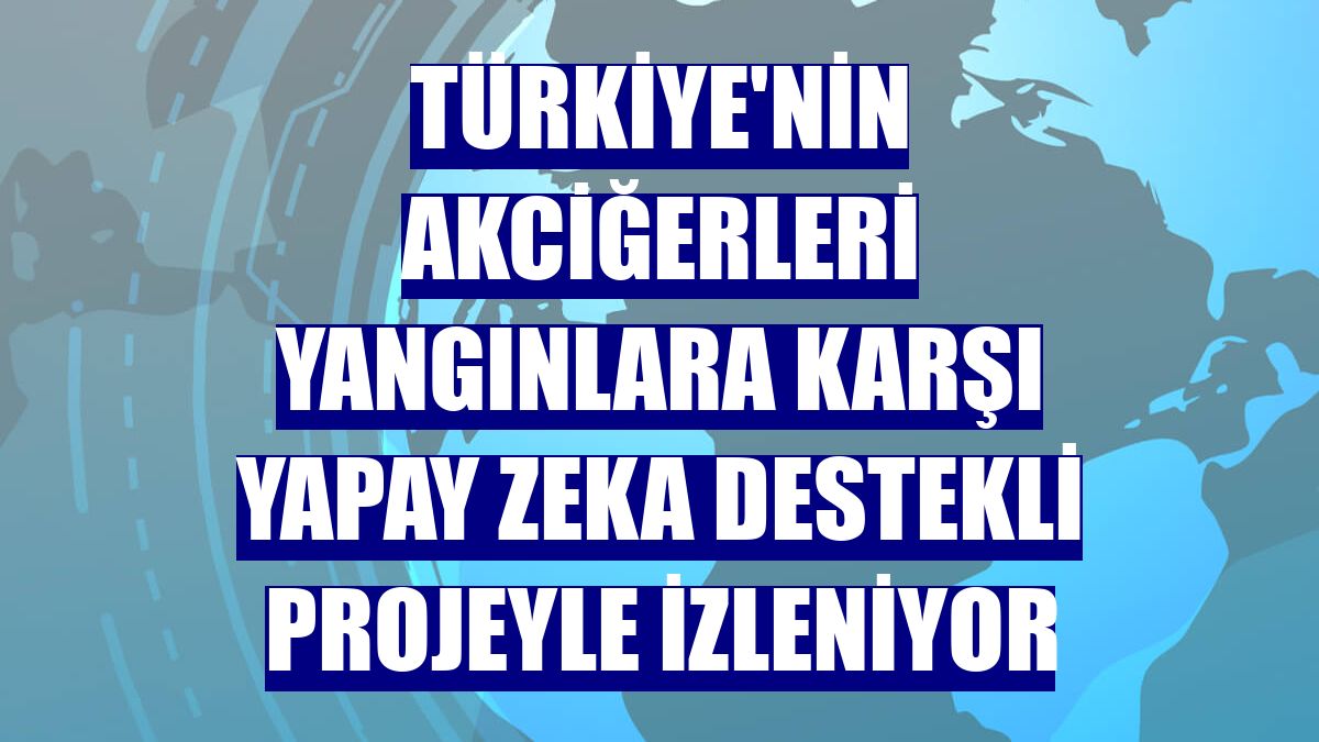 Türkiye'nin akciğerleri yangınlara karşı yapay zeka destekli projeyle izleniyor