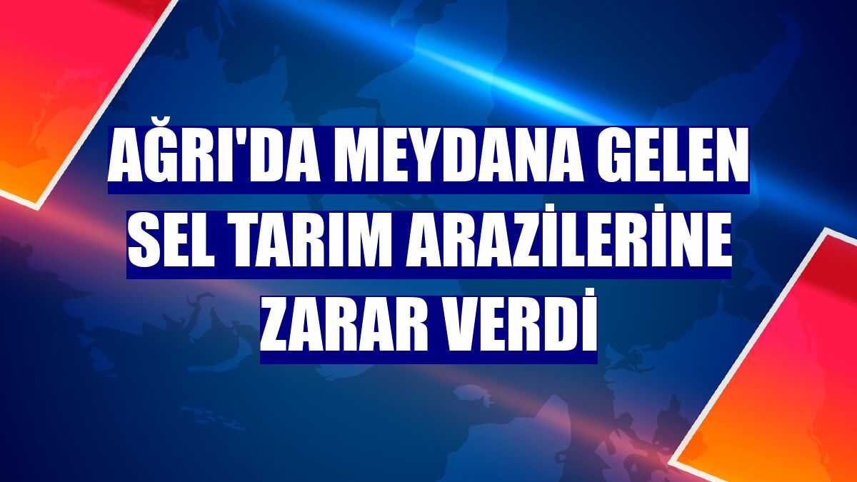 Ağrı'da meydana gelen sel tarım arazilerine zarar verdi