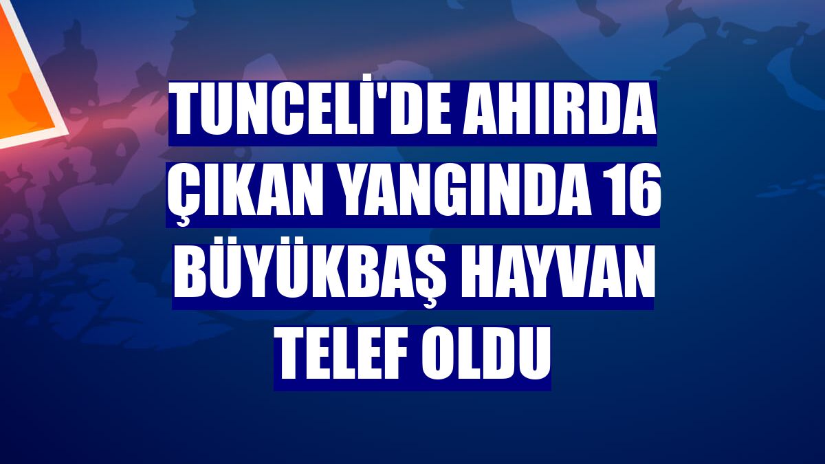 Tunceli'de ahırda çıkan yangında 16 büyükbaş hayvan telef oldu