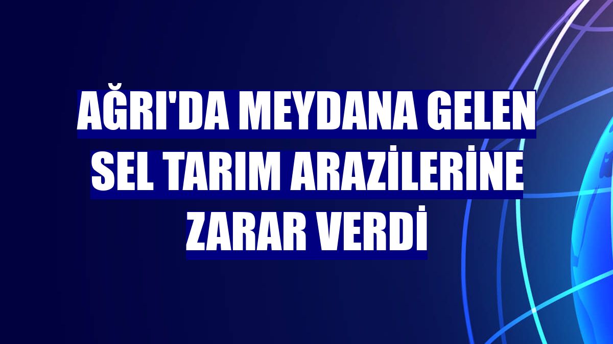 Ağrı'da meydana gelen sel tarım arazilerine zarar verdi