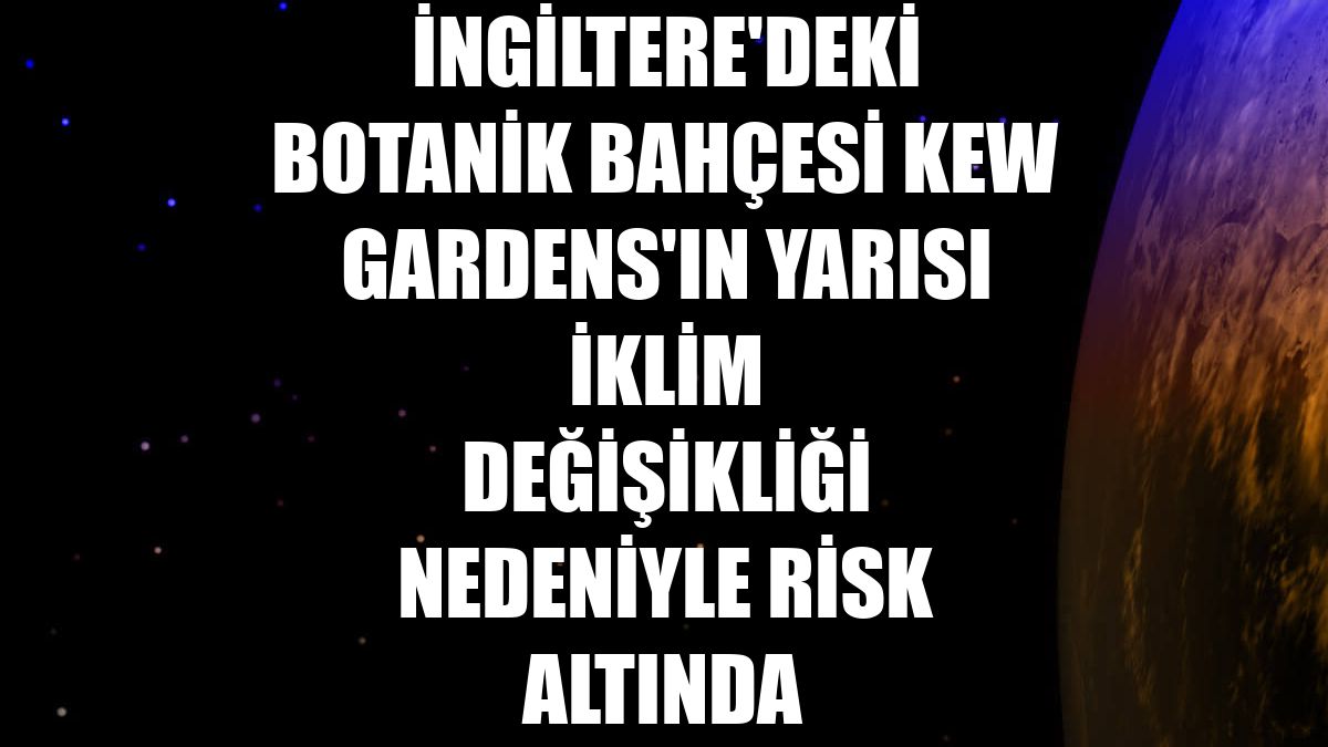 İngiltere'deki botanik bahçesi Kew Gardens'ın yarısı iklim değişikliği nedeniyle risk altında