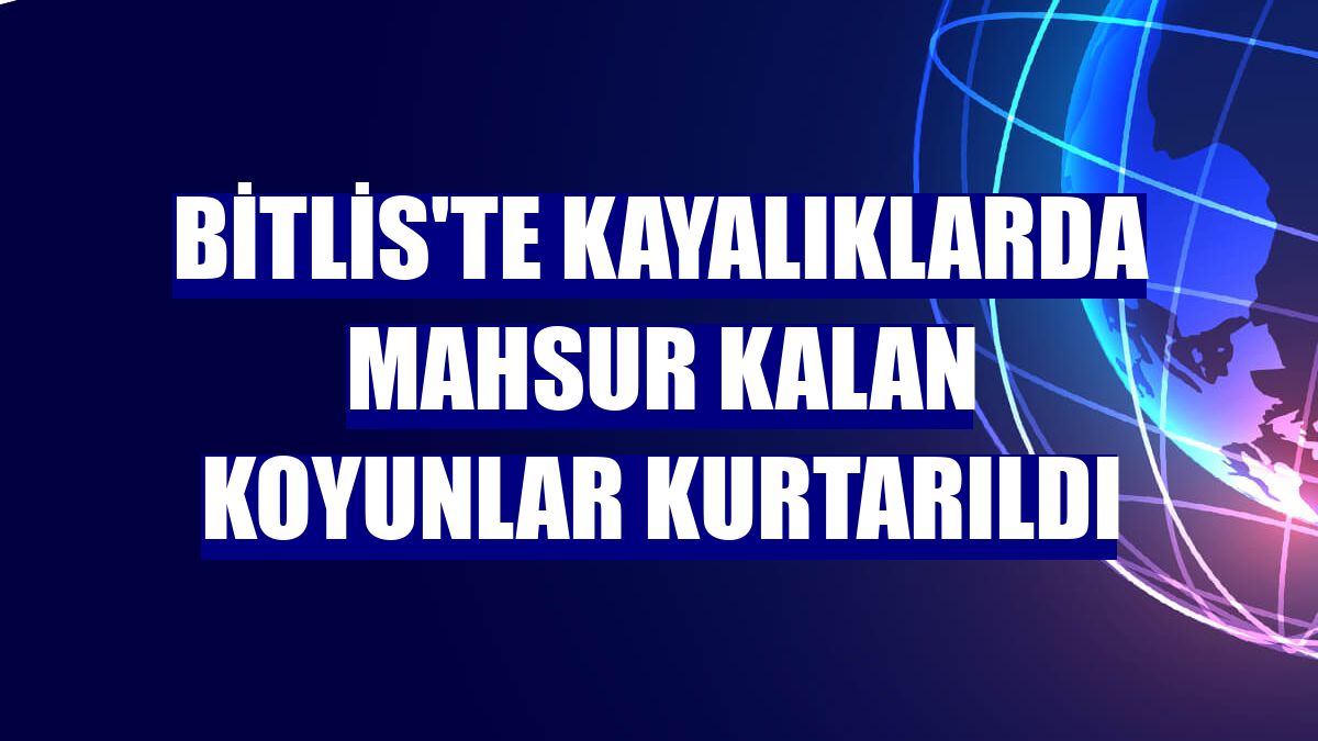 Bitlis'te kayalıklarda mahsur kalan koyunlar kurtarıldı