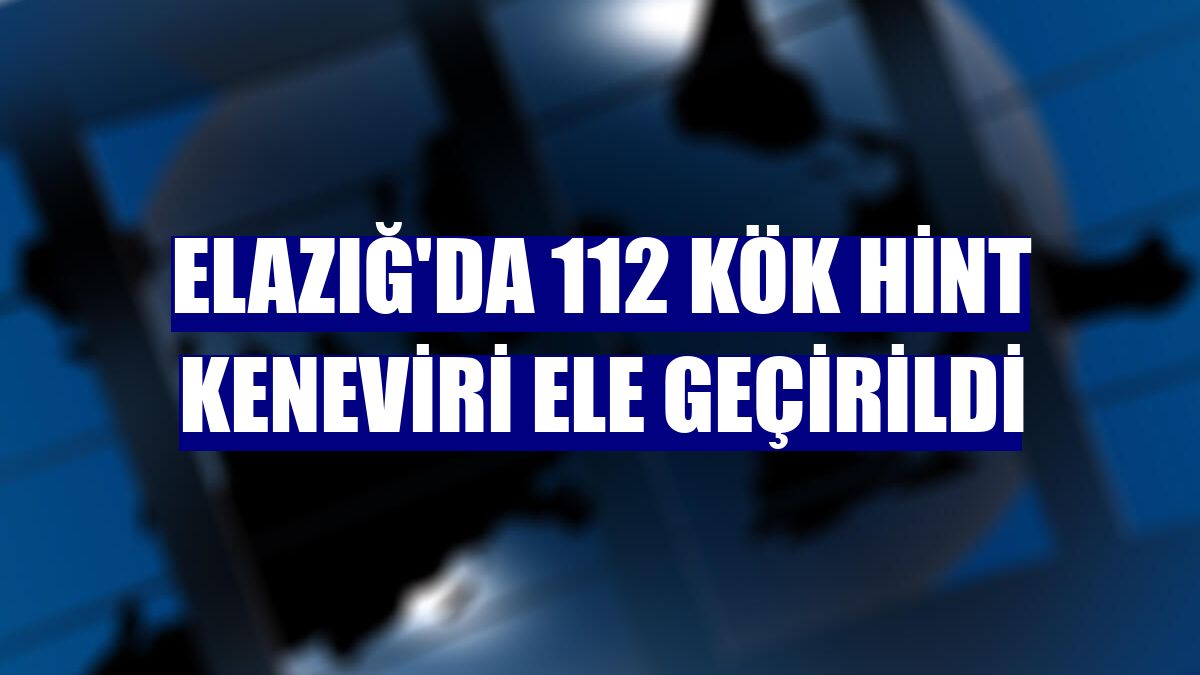 Elazığ'da 112 kök Hint keneviri ele geçirildi