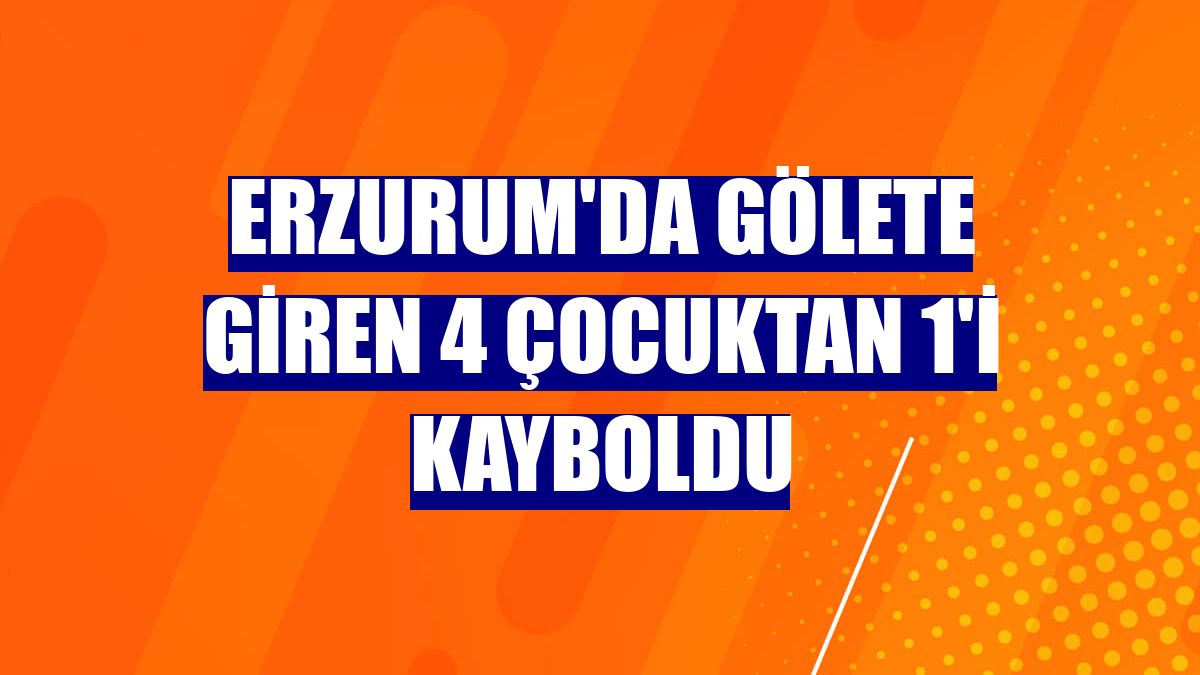 Erzurum'da gölete giren 4 çocuktan 1'i kayboldu