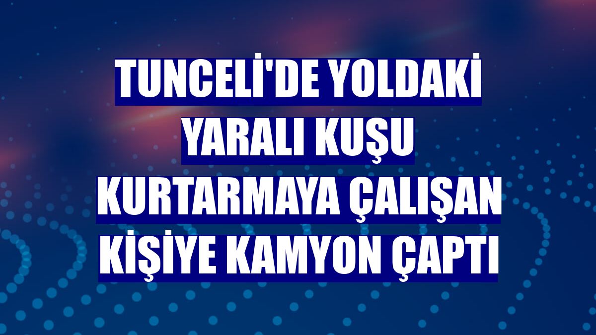 Tunceli'de yoldaki yaralı kuşu kurtarmaya çalışan kişiye kamyon çaptı