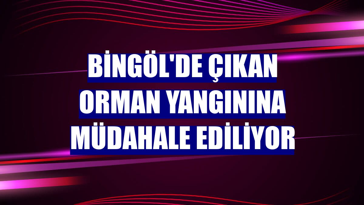 Bingöl'de çıkan orman yangınına müdahale ediliyor