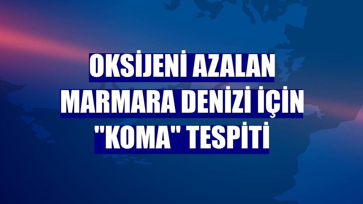 Oksijeni azalan Marmara Denizi için "koma" tespiti