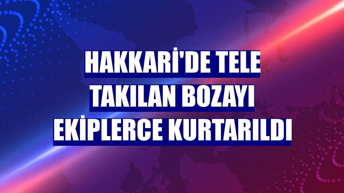 Hakkari'de tele takılan bozayı ekiplerce kurtarıldı