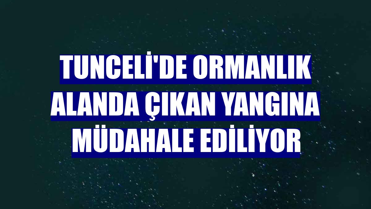 Tunceli'de ormanlık alanda çıkan yangına müdahale ediliyor