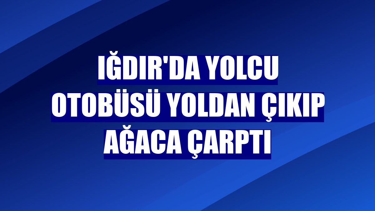 Iğdır'da yolcu otobüsü yoldan çıkıp ağaca çarptı