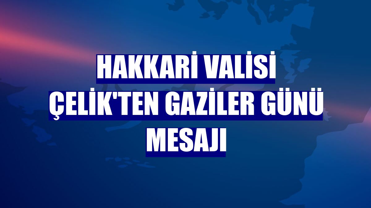 Hakkari Valisi Çelik'ten Gaziler Günü mesajı