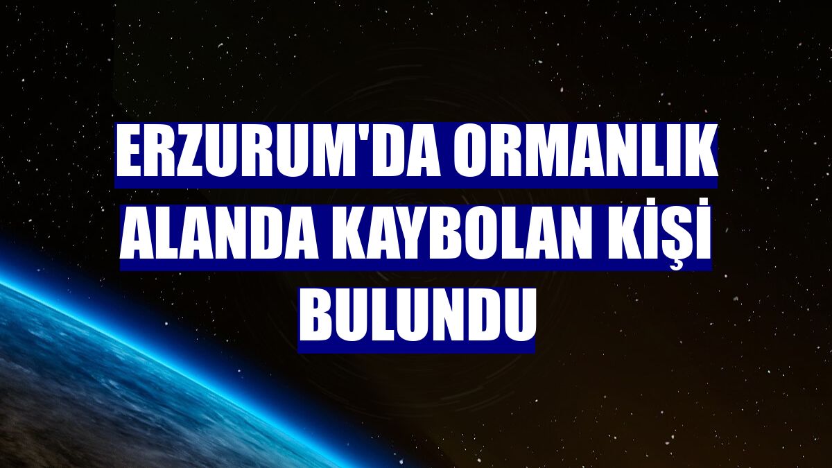 Erzurum'da ormanlık alanda kaybolan kişi bulundu