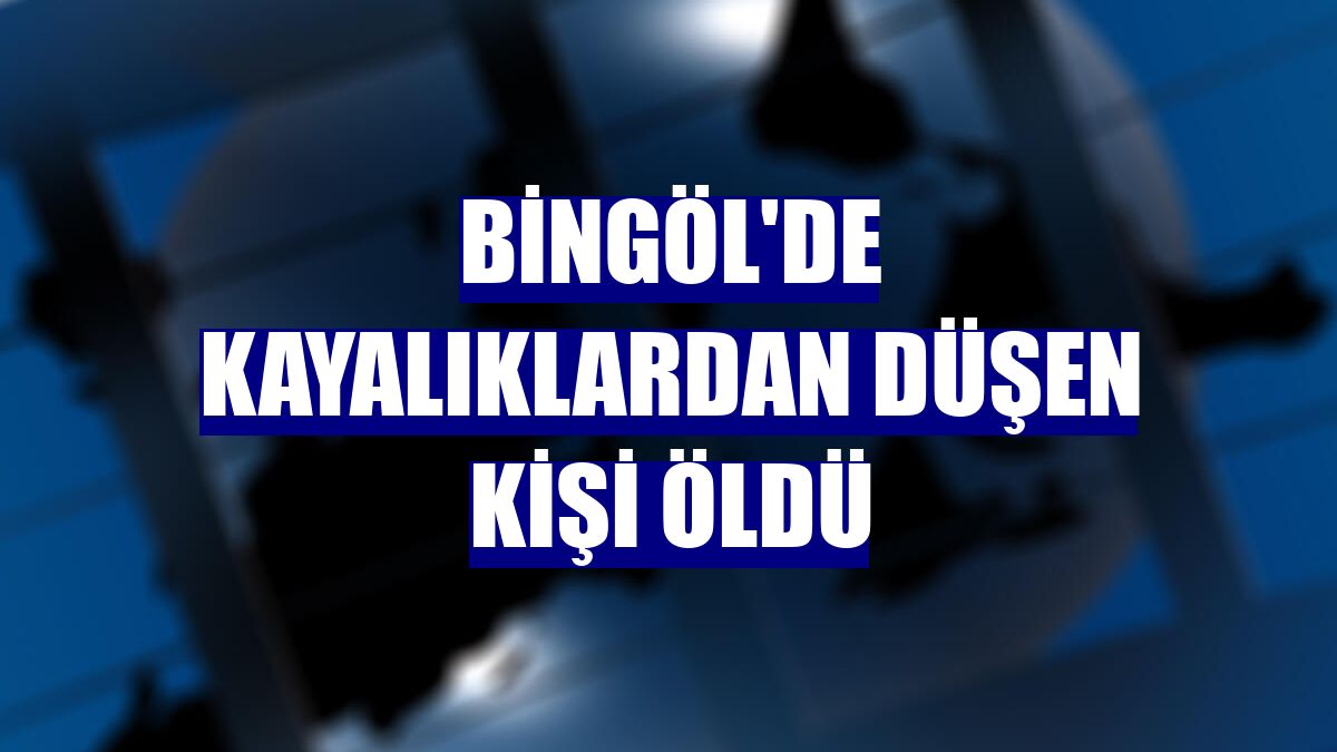 Bingöl'de kayalıklardan düşen kişi öldü