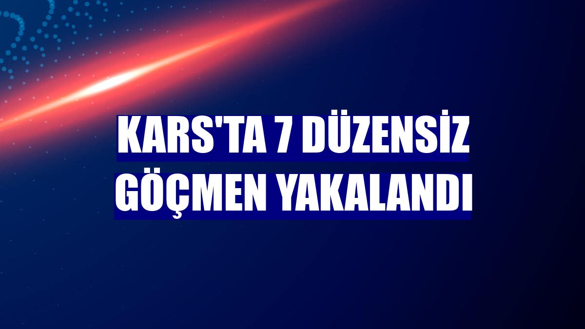 Kars'ta 7 düzensiz göçmen yakalandı