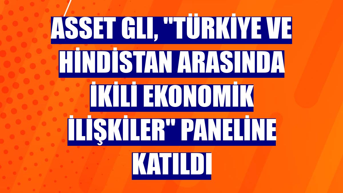 Asset GLI, 'Türkiye ve Hindistan Arasında İkili Ekonomik İlişkiler' paneline katıldı