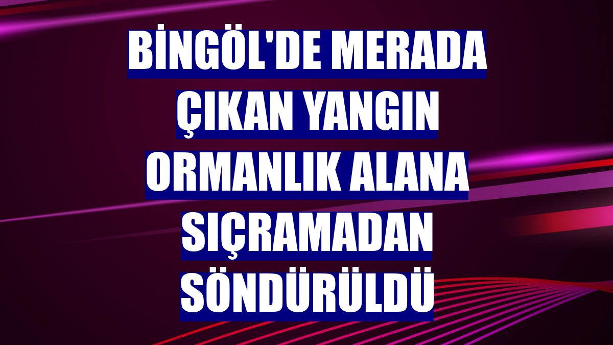 Bingöl'de merada çıkan yangın ormanlık alana sıçramadan söndürüldü