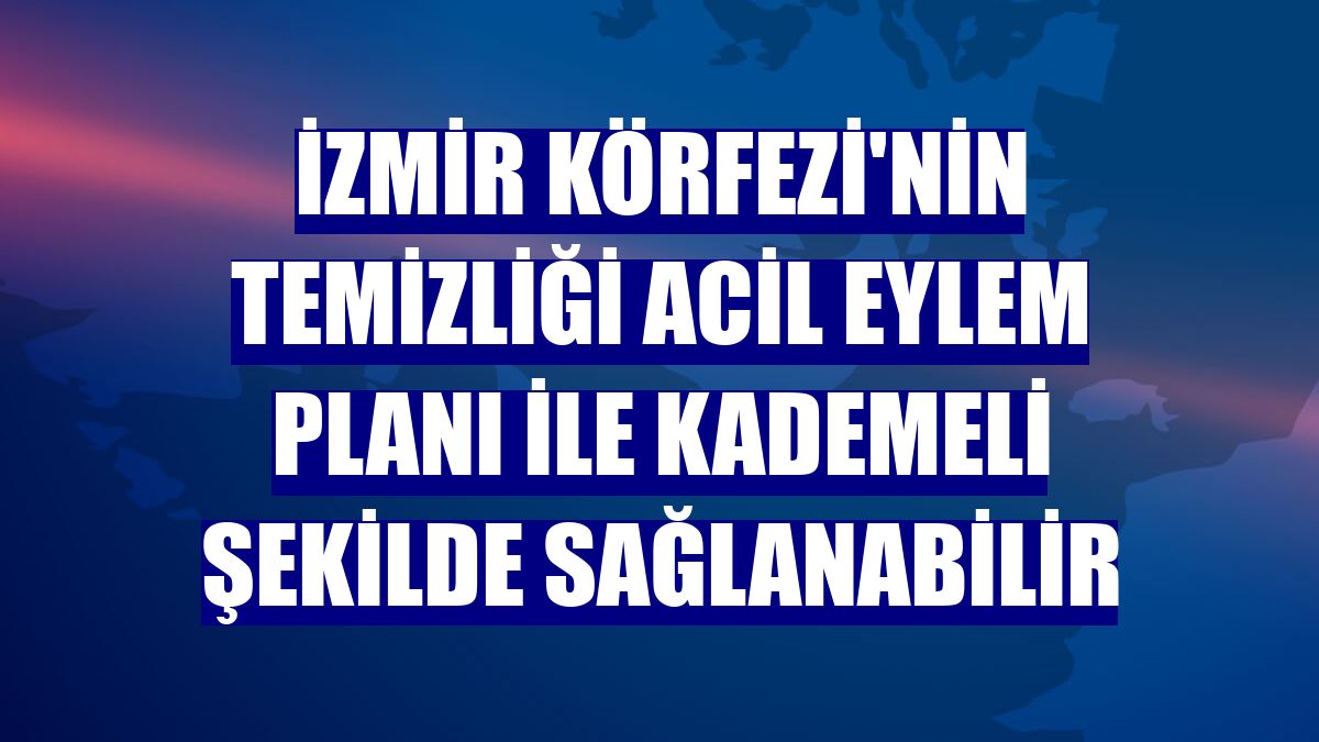 İzmir Körfezi'nin temizliği acil eylem planı ile kademeli şekilde sağlanabilir