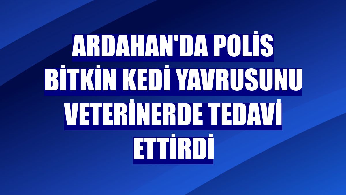 Ardahan'da polis bitkin kedi yavrusunu veterinerde tedavi ettirdi