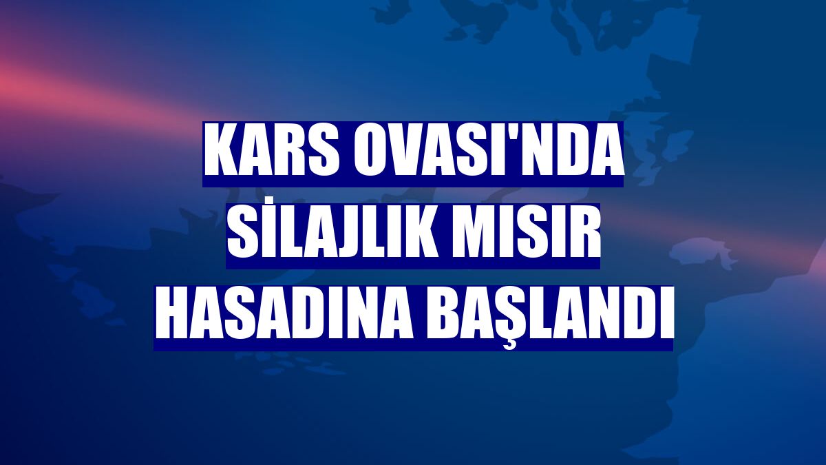 Kars Ovası'nda silajlık mısır hasadına başlandı