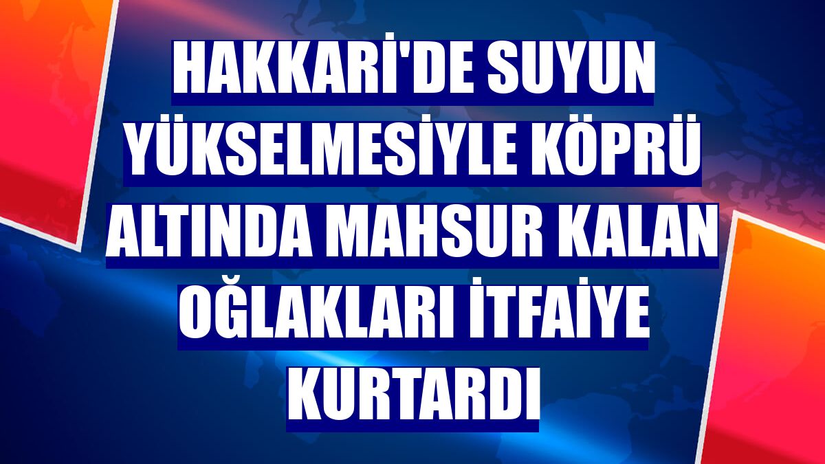 Hakkari'de suyun yükselmesiyle köprü altında mahsur kalan oğlakları itfaiye kurtardı