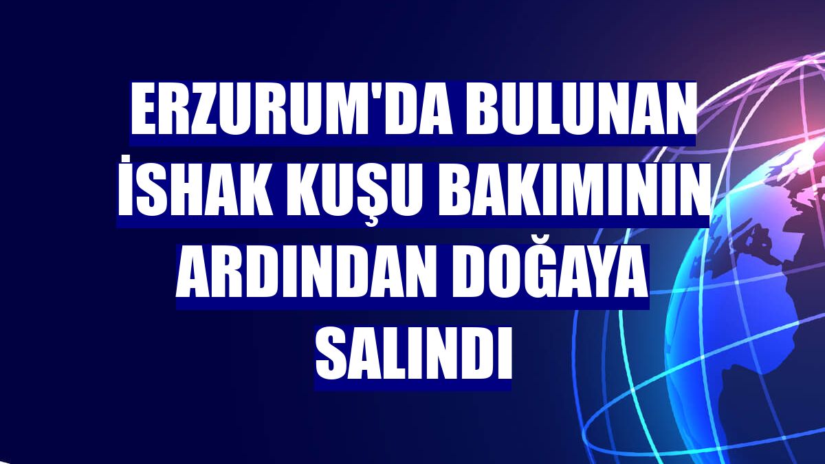 Erzurum'da bulunan ishak kuşu bakımının ardından doğaya salındı