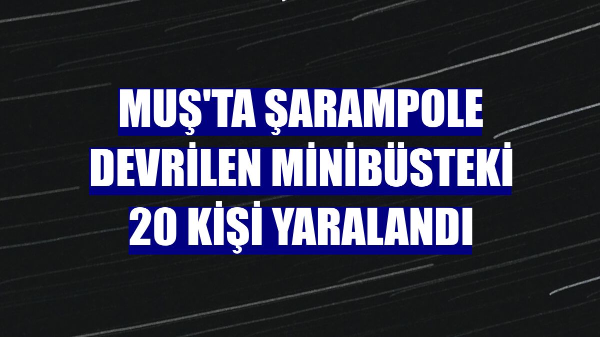 Muş'ta şarampole devrilen minibüsteki 20 kişi yaralandı