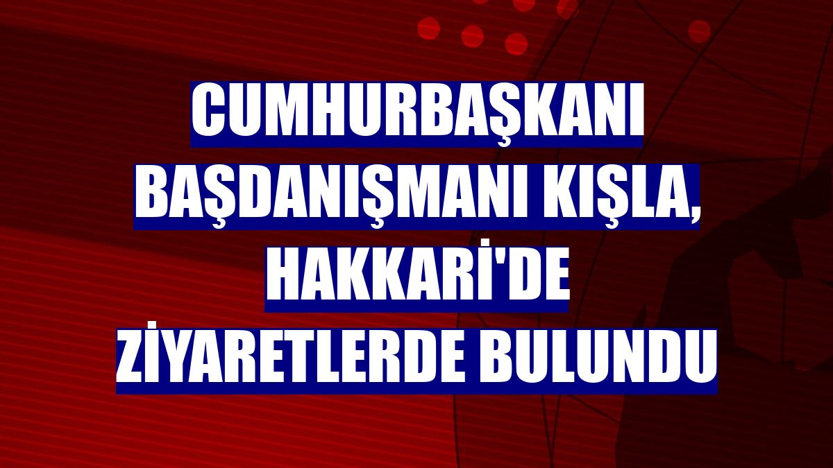 Cumhurbaşkanı Başdanışmanı Kışla, Hakkari'de ziyaretlerde bulundu