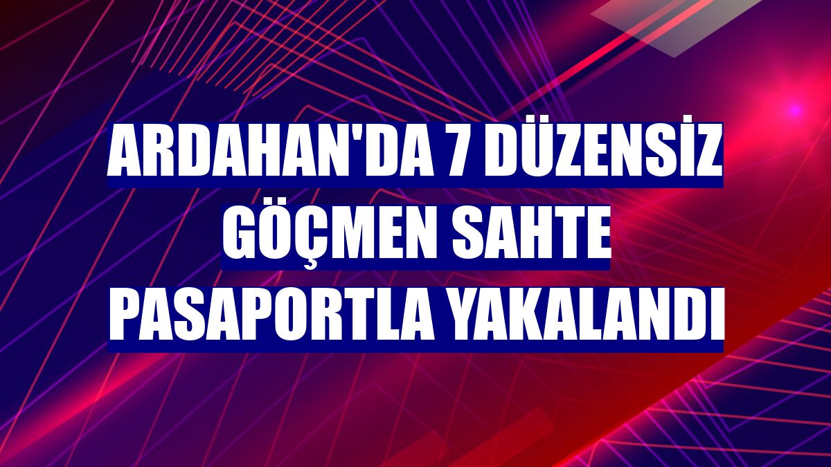 Ardahan'da 7 düzensiz göçmen sahte pasaportla yakalandı