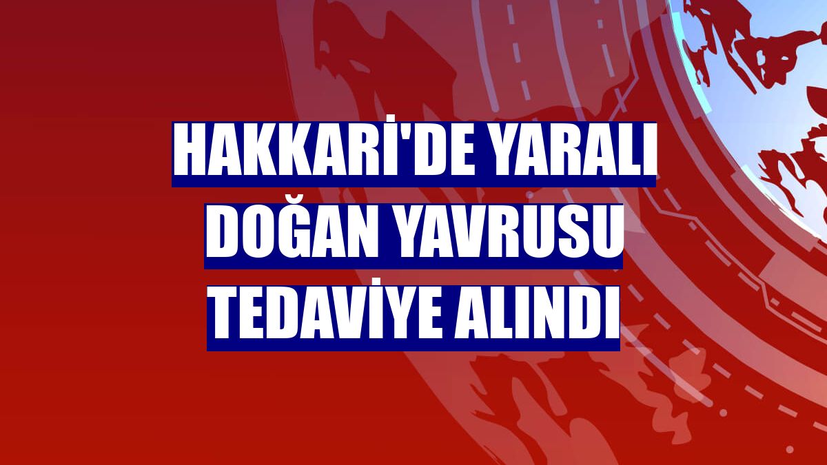 Hakkari'de yaralı doğan yavrusu tedaviye alındı