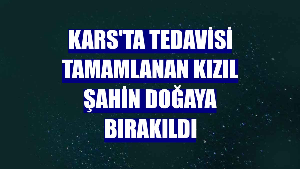 Kars'ta tedavisi tamamlanan kızıl şahin doğaya bırakıldı