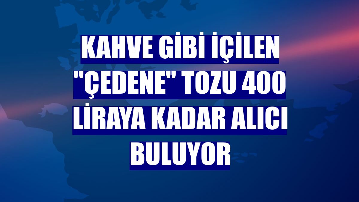 Kahve gibi içilen 'çedene' tozu 400 liraya kadar alıcı buluyor