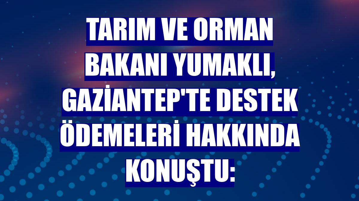 Tarım ve Orman Bakanı Yumaklı, Gaziantep'te destek ödemeleri hakkında konuştu: