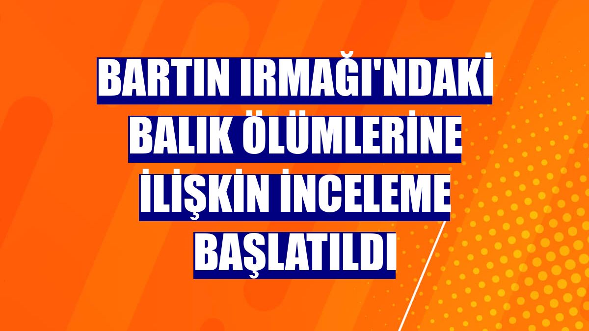 Bartın Irmağı'ndaki balık ölümlerine ilişkin inceleme başlatıldı