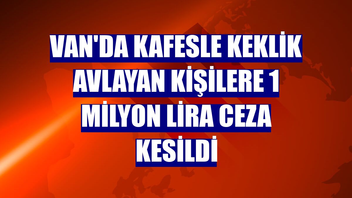 Van'da kafesle keklik avlayan kişilere 1 milyon lira ceza kesildi