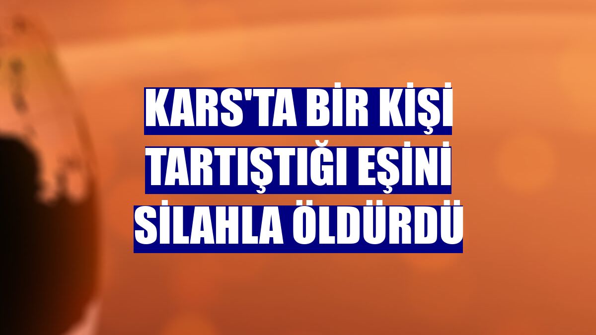 Kars'ta bir kişi tartıştığı eşini silahla öldürdü