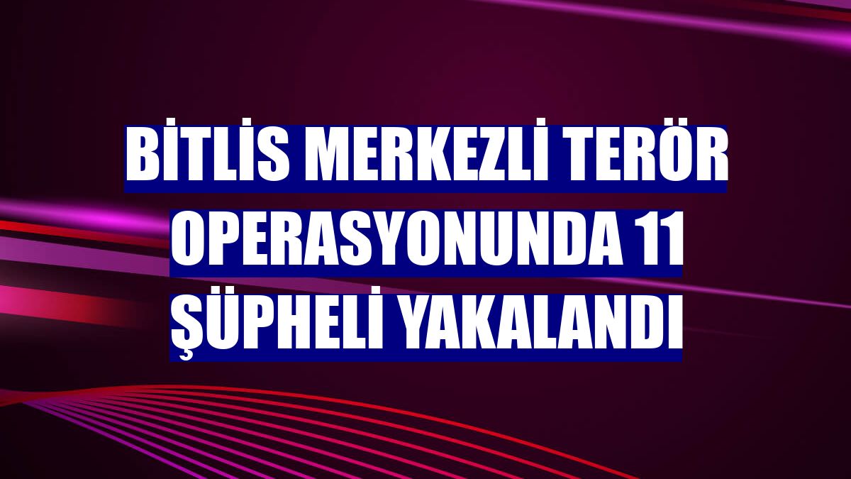 Bitlis merkezli terör operasyonunda 11 şüpheli yakalandı