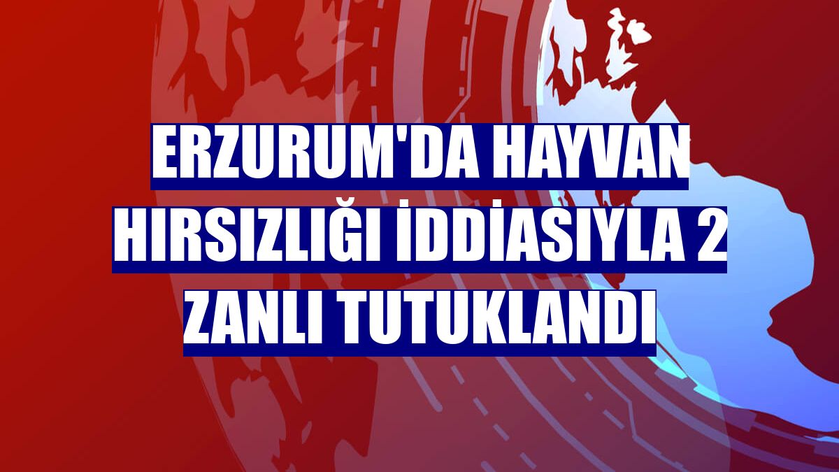 Erzurum'da hayvan hırsızlığı iddiasıyla 2 zanlı tutuklandı