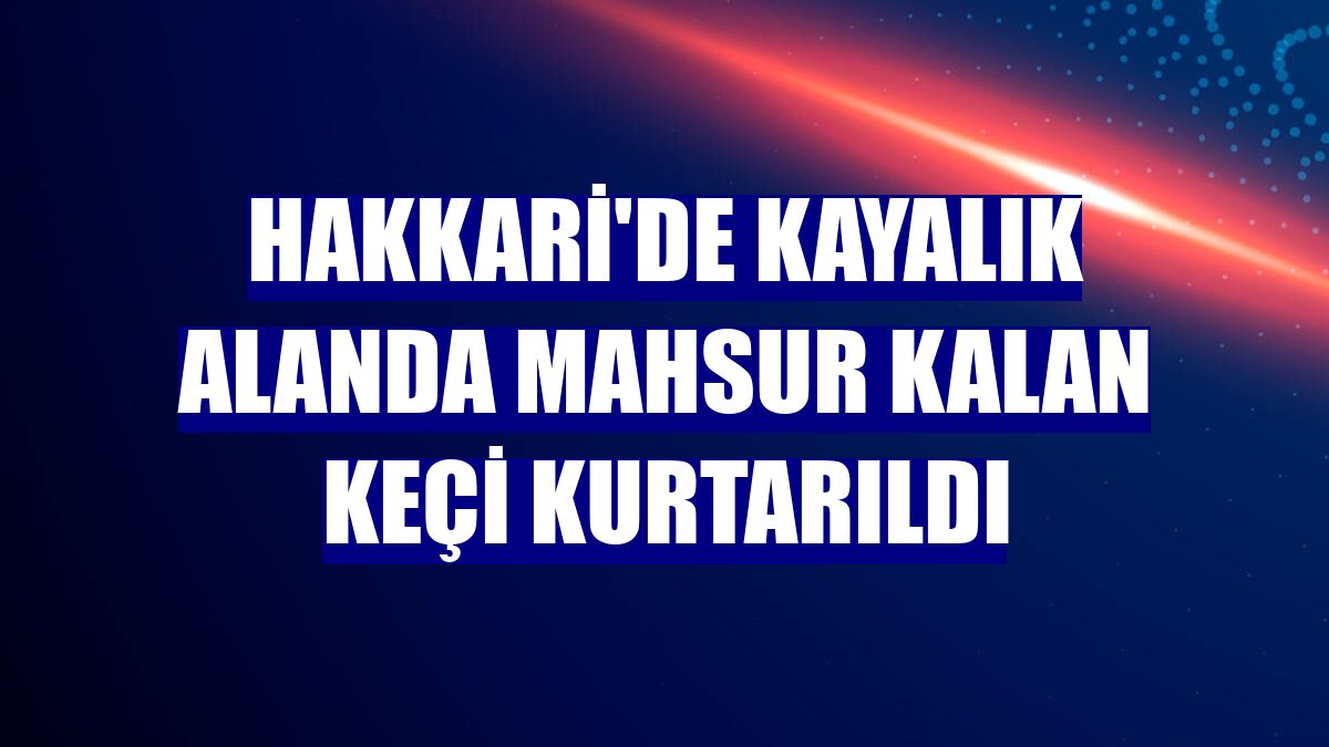 Hakkari'de kayalık alanda mahsur kalan keçi kurtarıldı