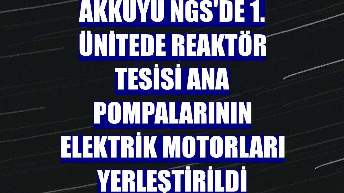 Akkuyu NGS'de 1. ünitede reaktör tesisi ana pompalarının elektrik motorları yerleştirildi