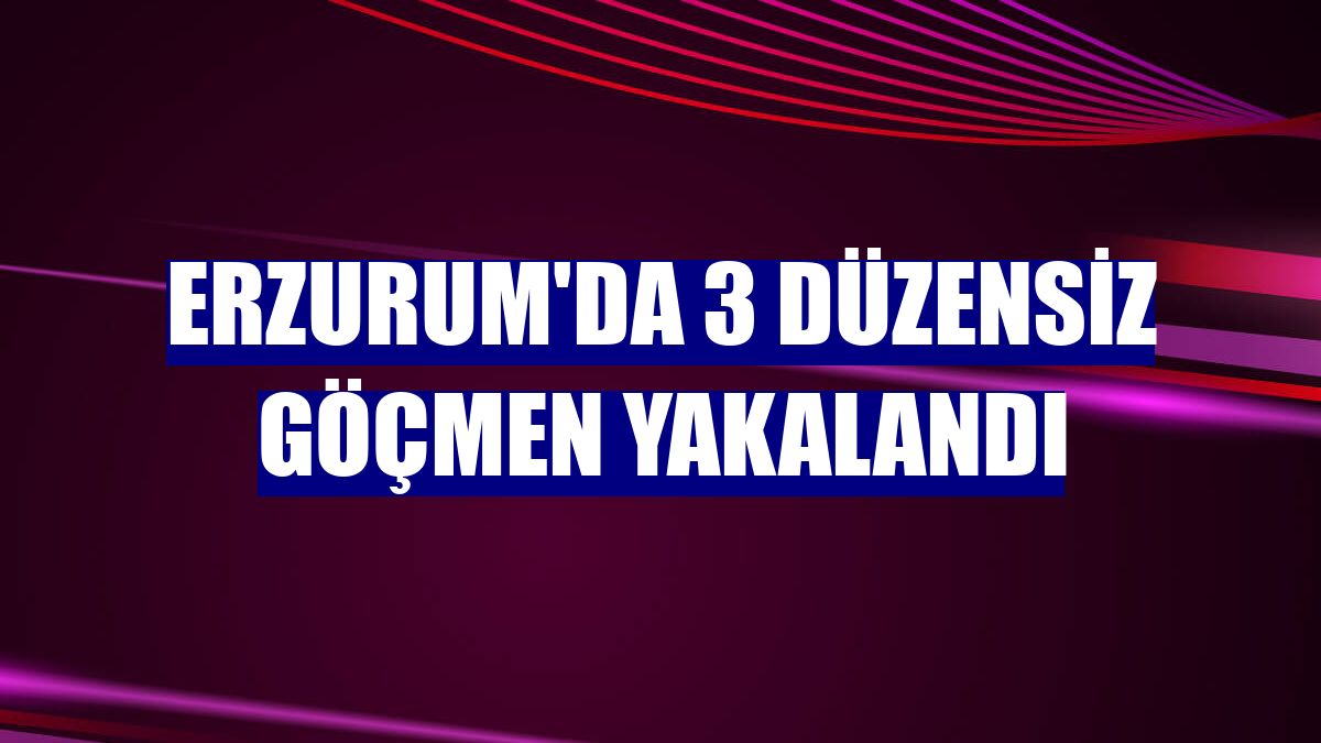 Erzurum'da 3 düzensiz göçmen yakalandı