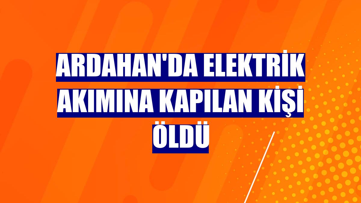 Ardahan'da elektrik akımına kapılan kişi öldü