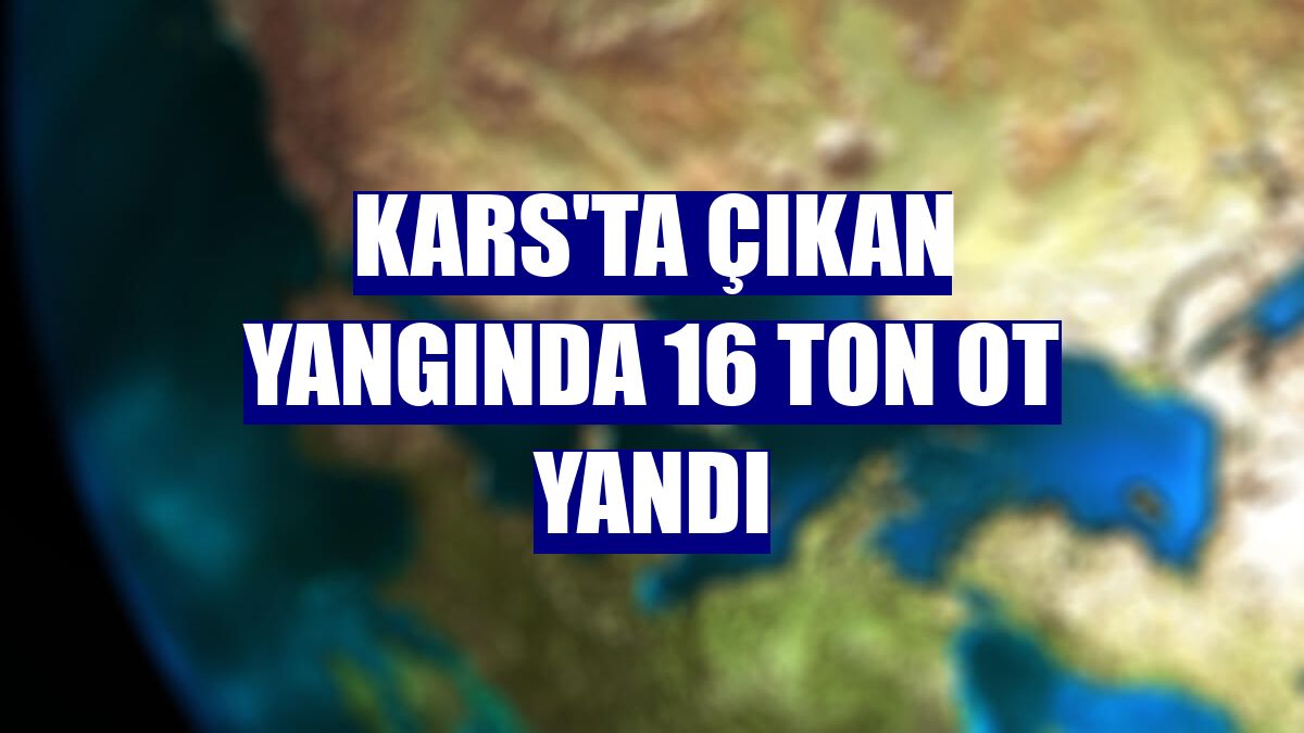 Kars'ta çıkan yangında 16 ton ot yandı